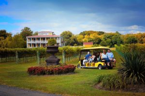 cape may wine tour bus