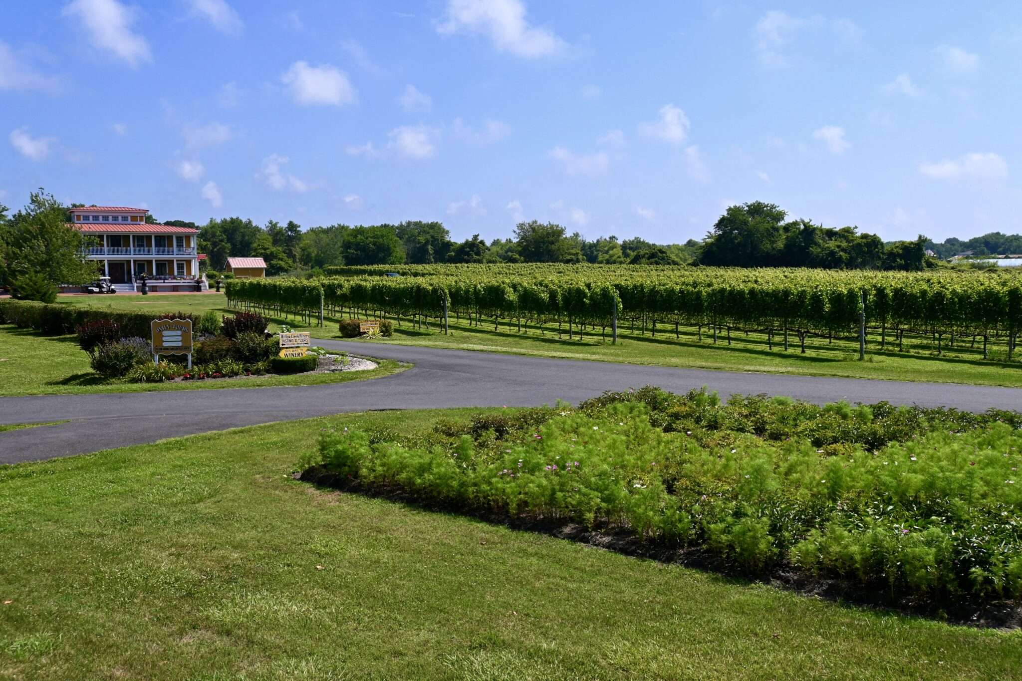Outdoor elopement ceremony site with vineyard views at Willow Creek Winery